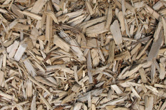 biomass boilers Coxlodge